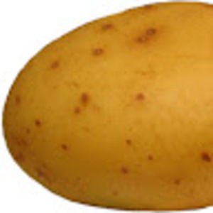 Meet your Posher, Splooz